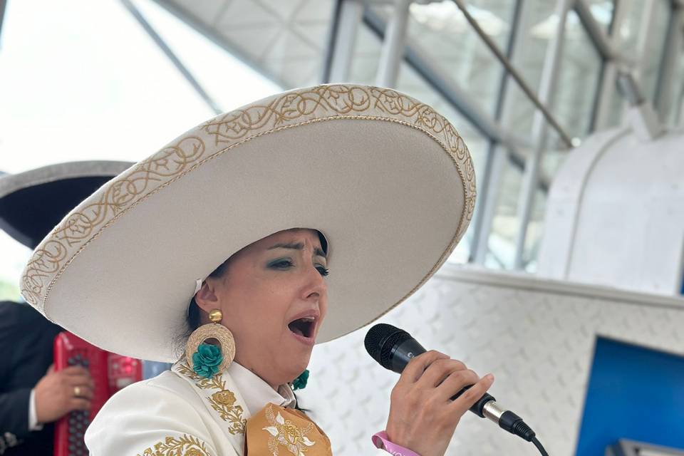 Trio Mariachi Tierra Y Alma