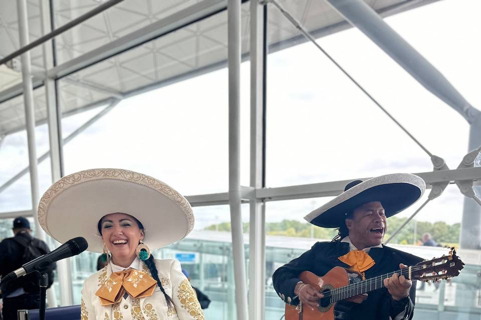 Trio Mariachi Tierra Y Alma