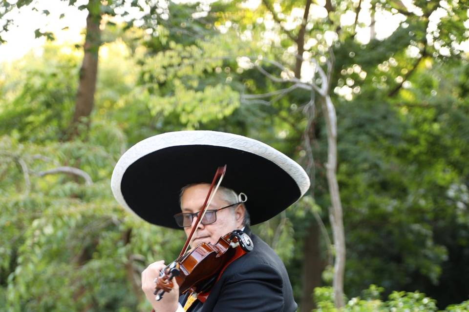 Trio Mariachi Tierra Y Alma