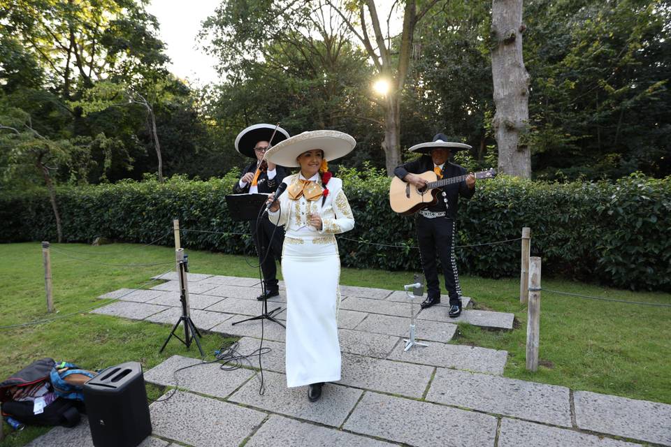 Trio Mariachi Tierra Y Alma