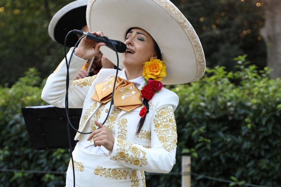 Trio Mariachi Tierra Y Alma