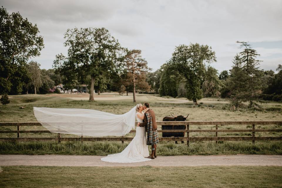 Picturesque backdrops