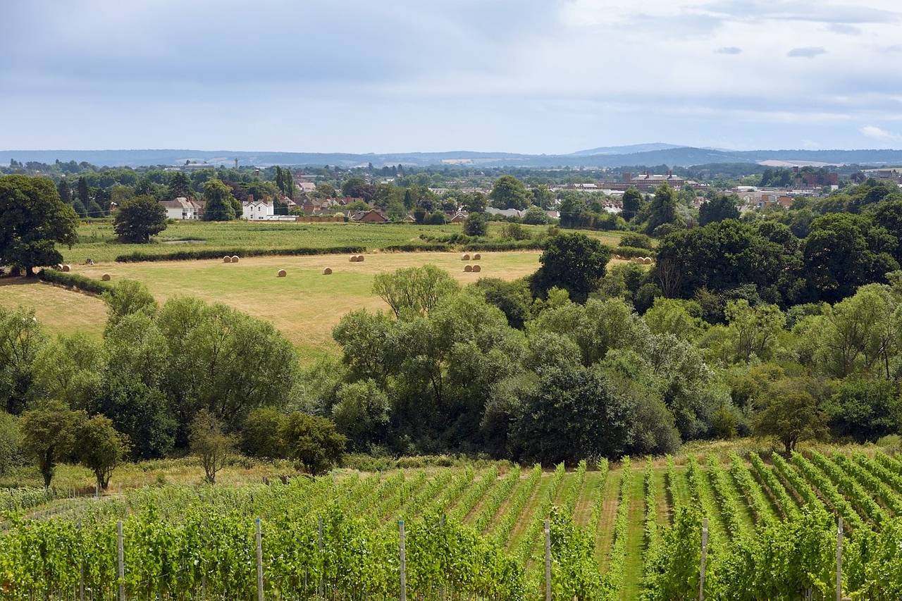 Hencote Vineyard Wedding Venue Shrewsbury, Shropshire | hitched.co.uk