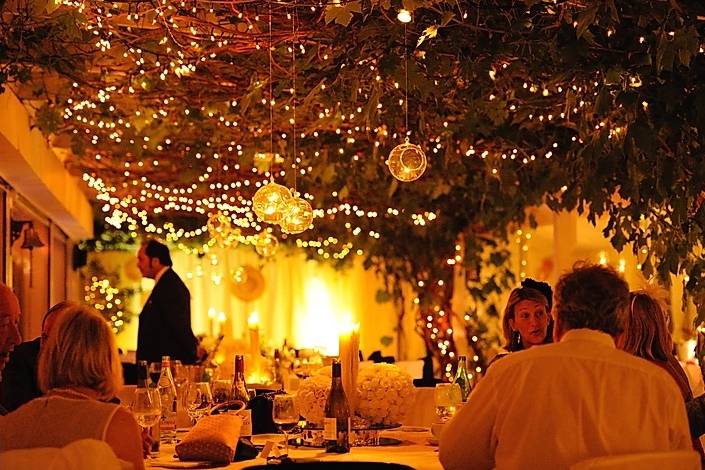 Vines in dining area