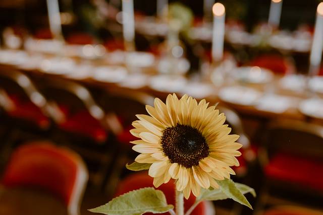 Sunflower and tables ready