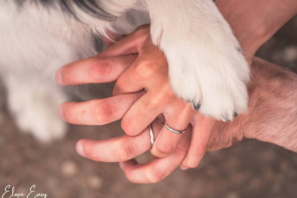 Wedding photos with dog