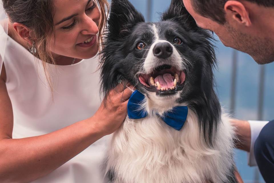 Wedding with a pet