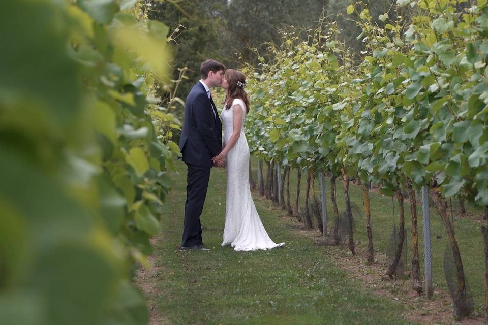 Vineyard Wedding