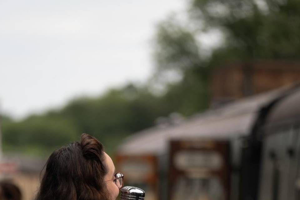 The Bluebell Railway Day One