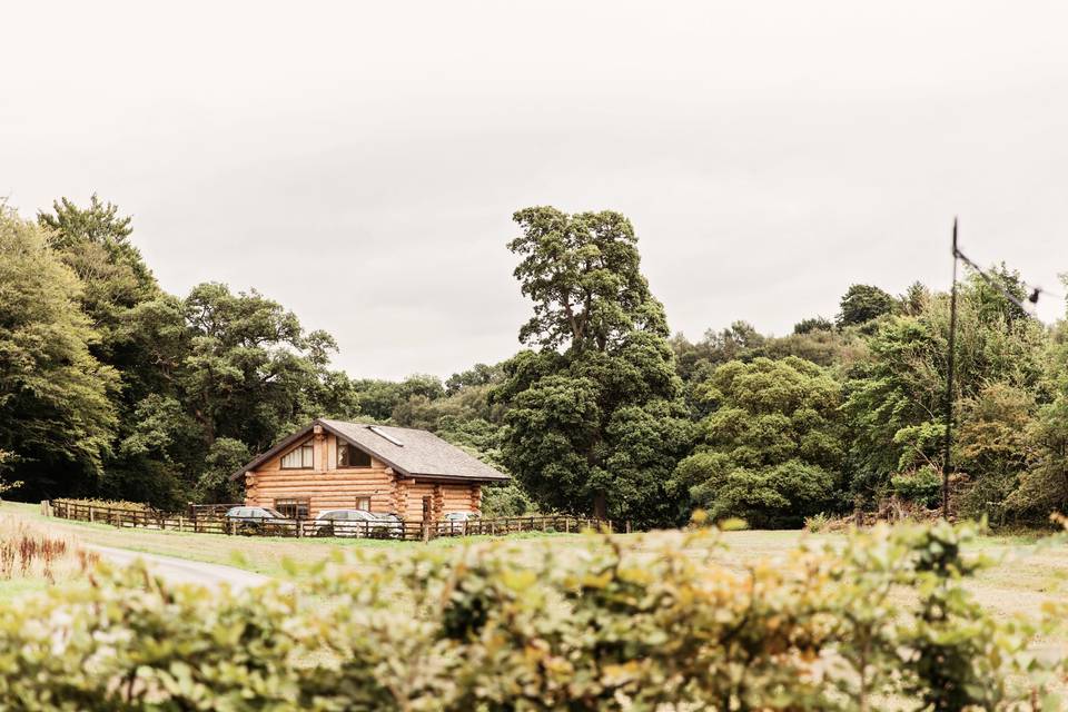 View of Roe Deer from Barn