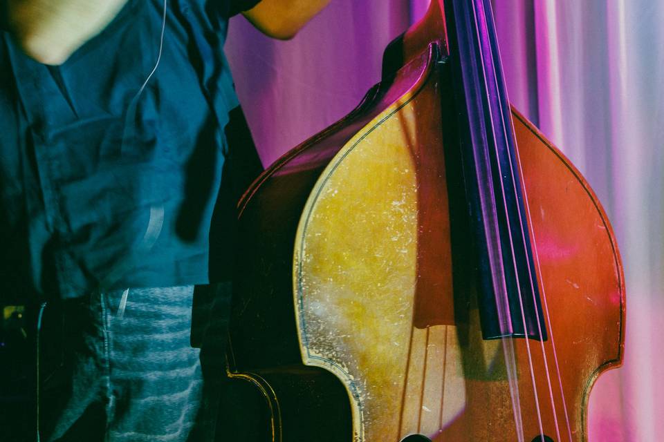 Double Bass