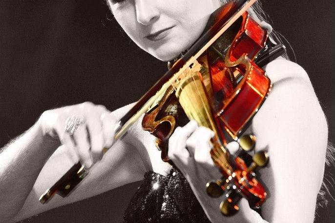 Wedding Violinist