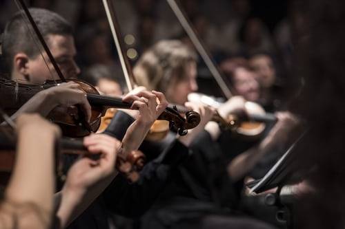 String Musicians