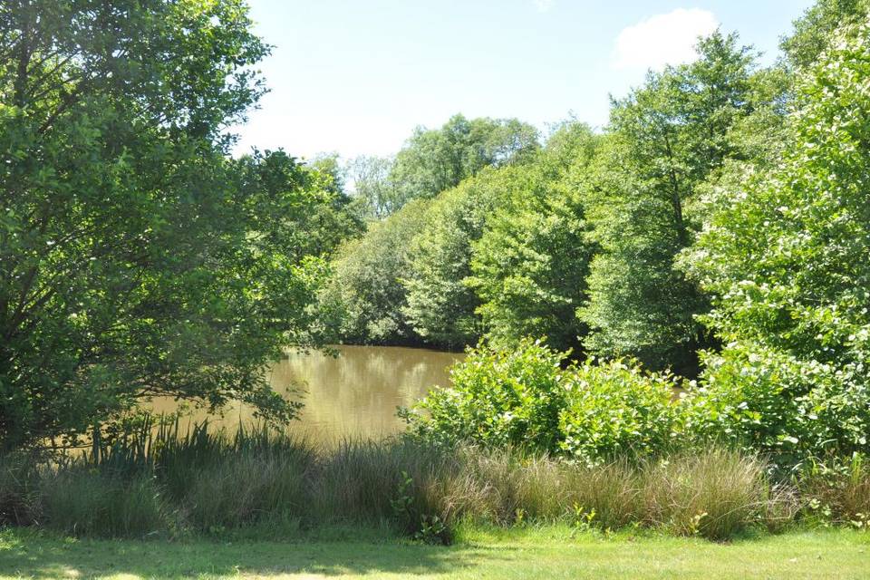 Spirit Lake 11