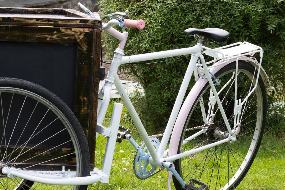 Wedding Trike