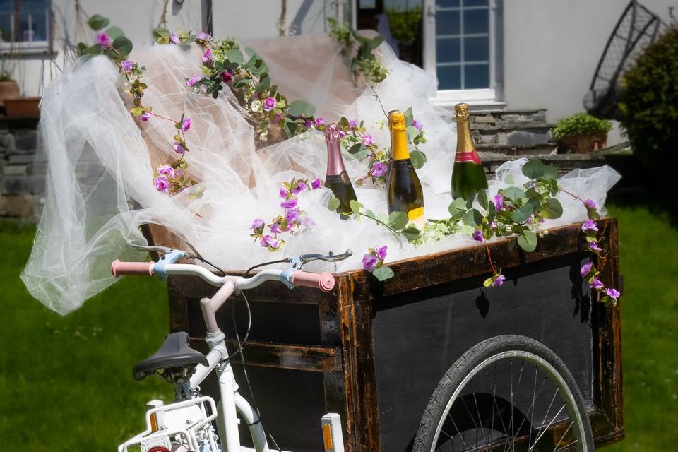 Wedding Trike