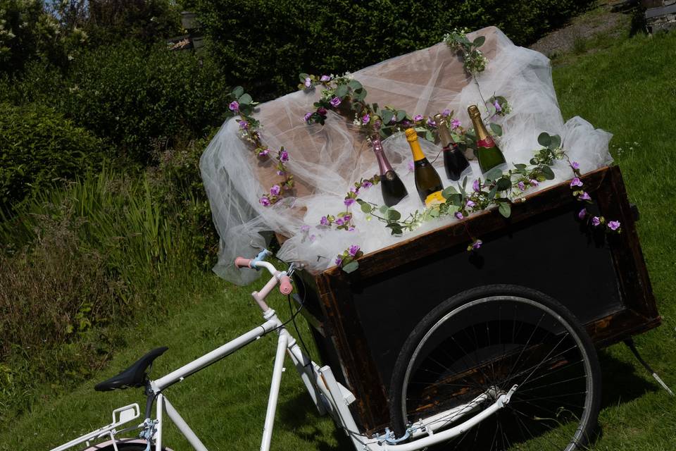 Wedding Trike