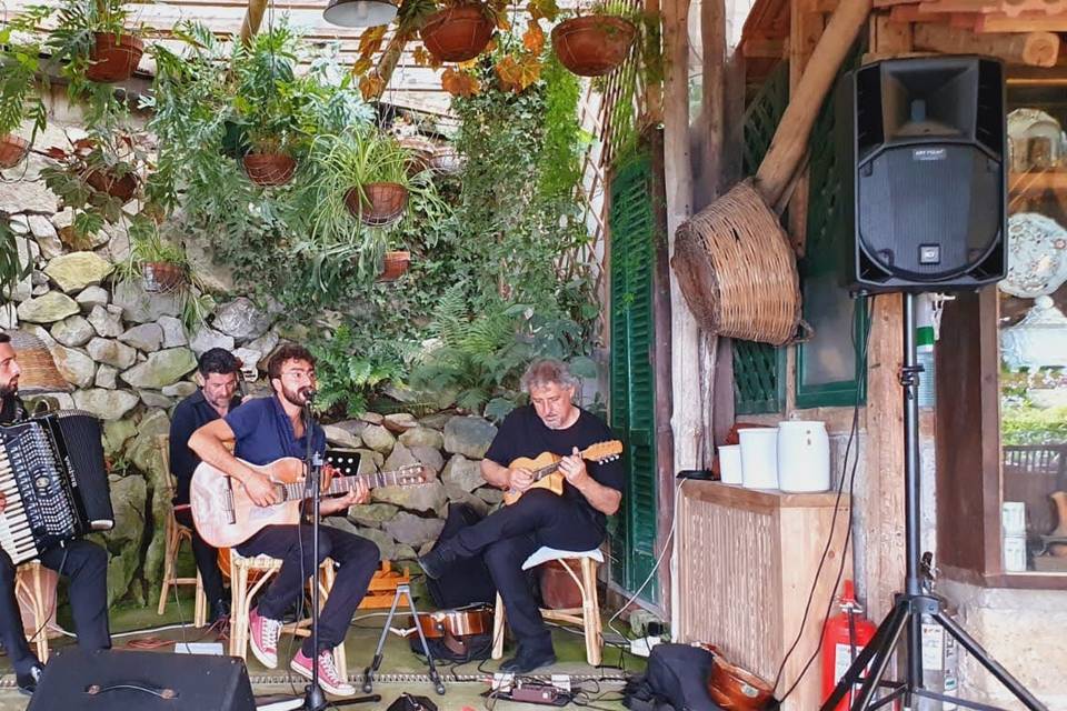 MUSIC LIVE