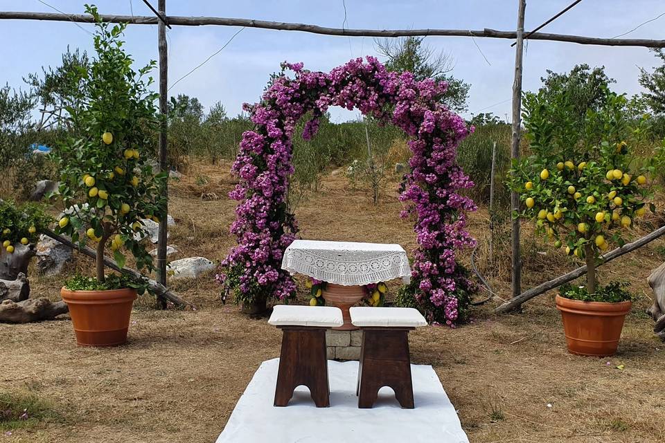 Wedding in the fields