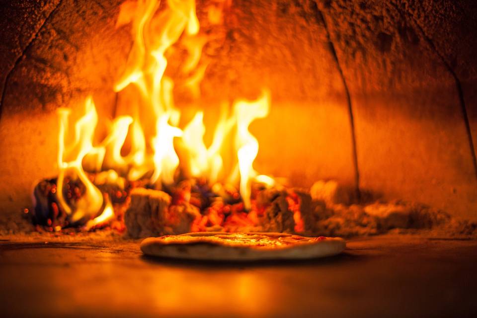 Wood fired oven