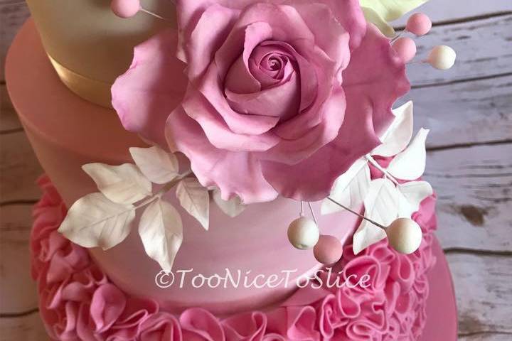Too Nice Pink Ruffles & Rose