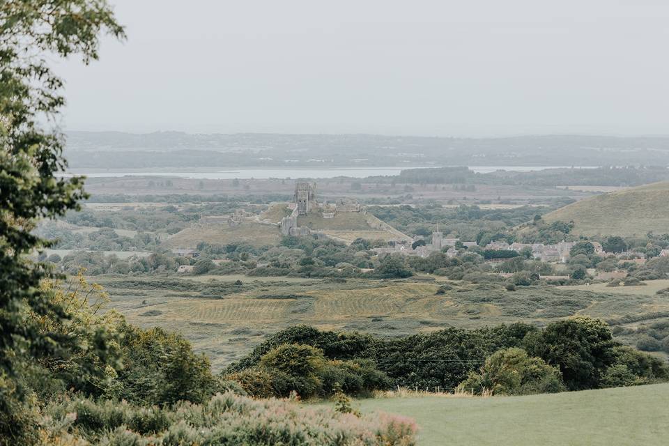 The view