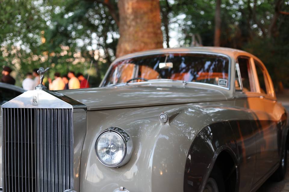 1950's RR Silver Cloud