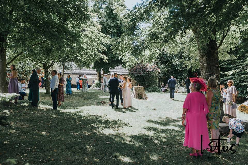 The gardens