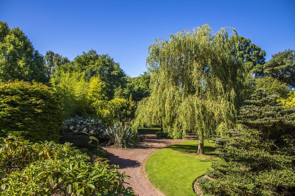 Hidden Gem