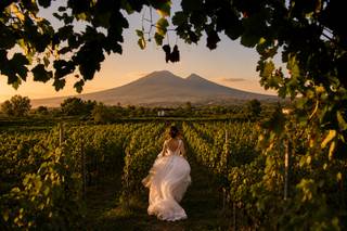Tenuta Sorrentino Vesuvio