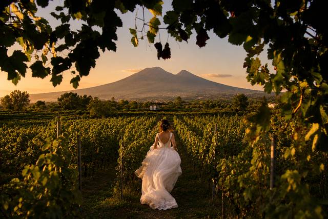Tenuta Sorrentino Vesuvio