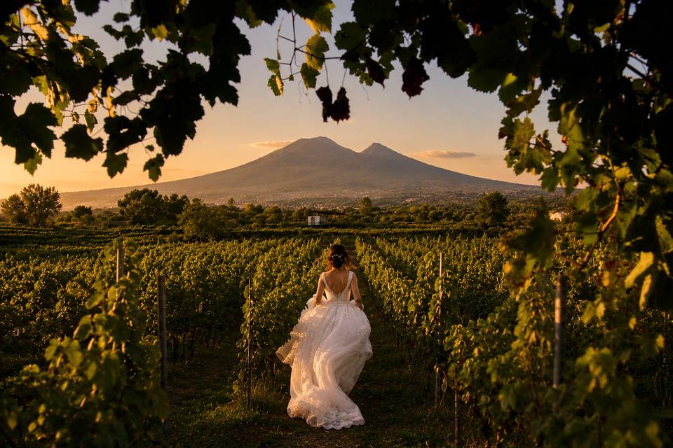 Tenuta Sorrentino Vesuvio