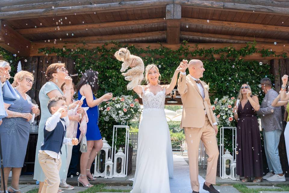 Afvision Wedding