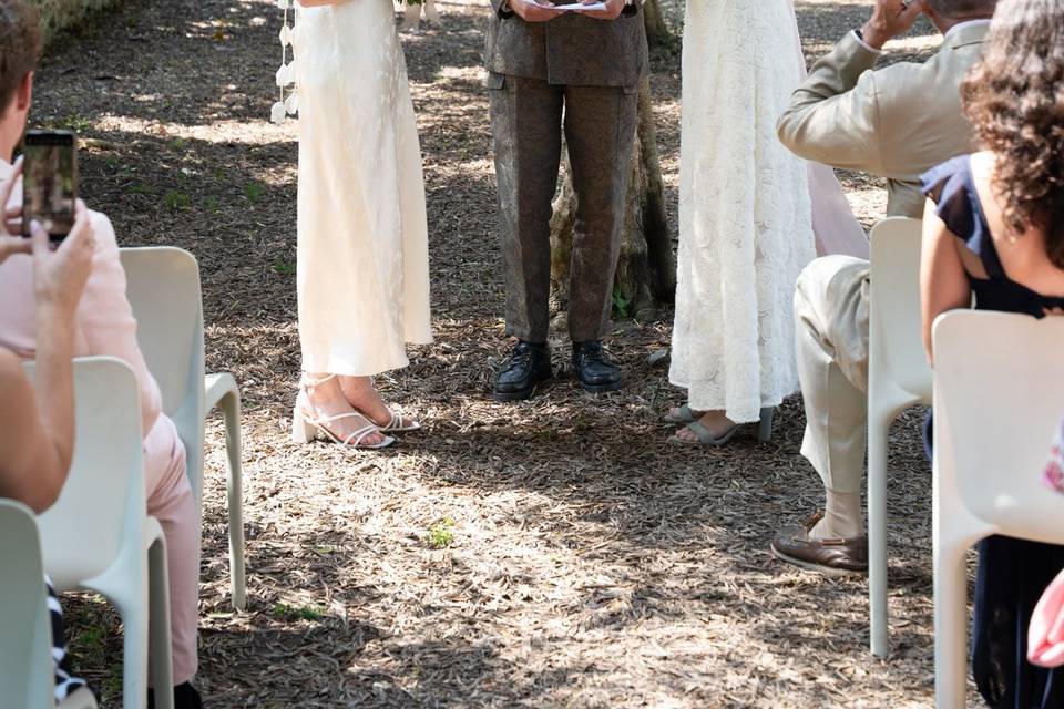 Ventnor Botanical Garden