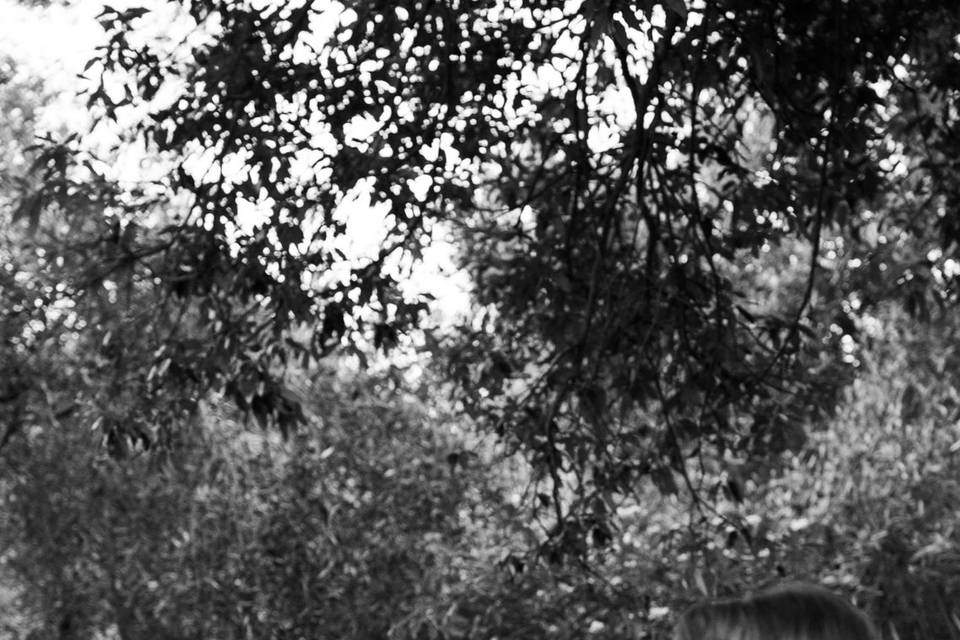 Ventnor Botanical Garden