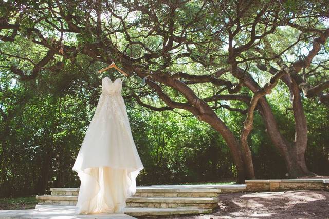 A-lien wedding dress