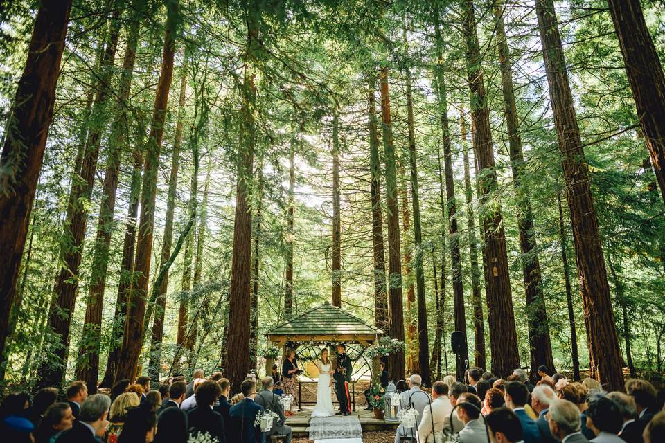 Woodland ceremony