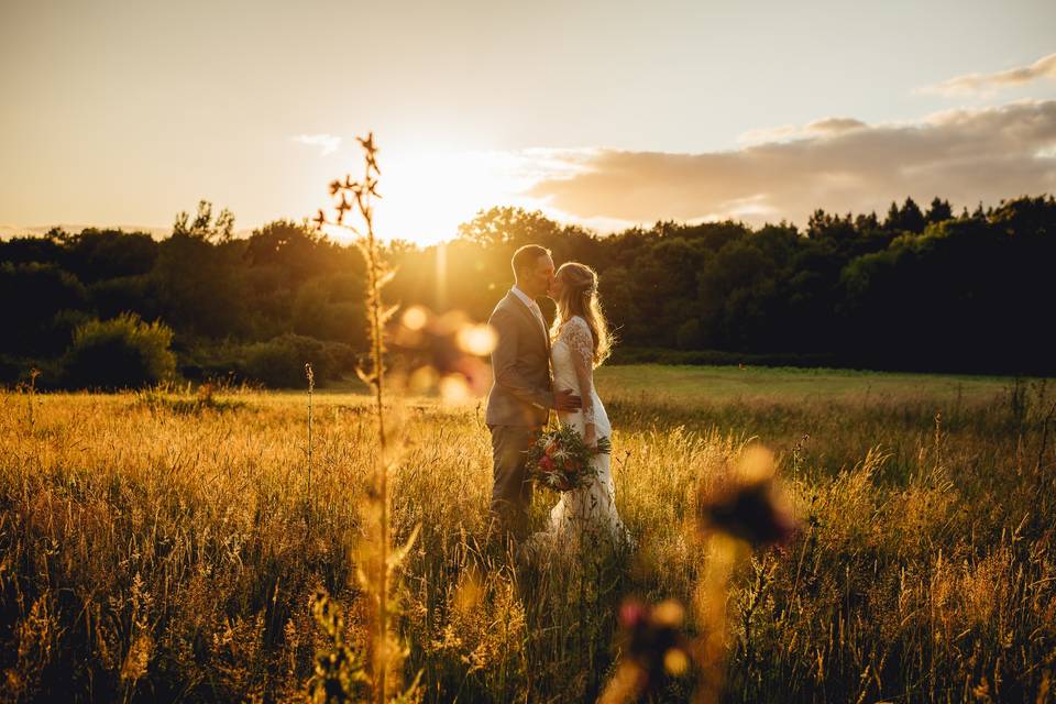Sunset in the meadow