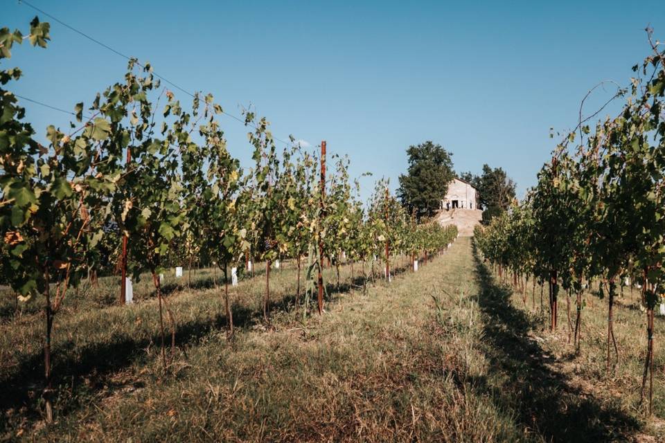 Wineyard church