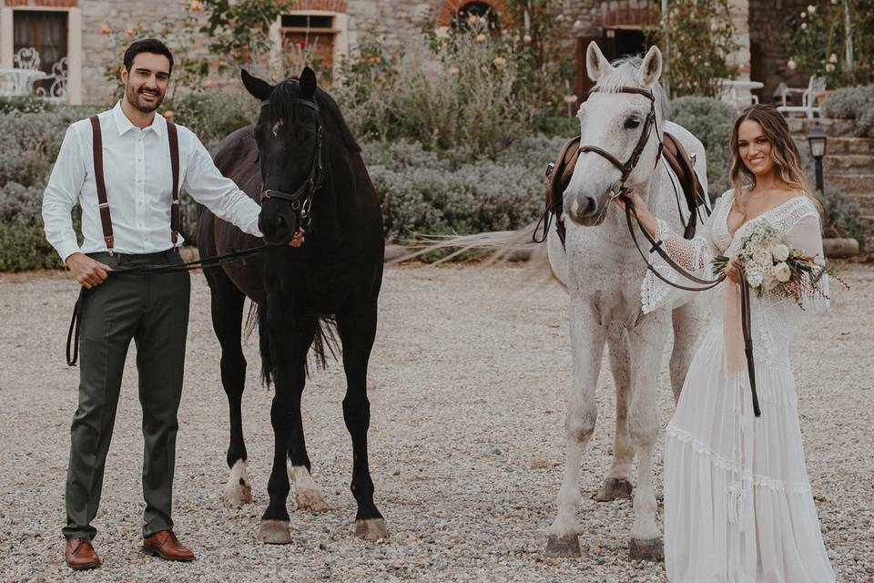 Wedding horses