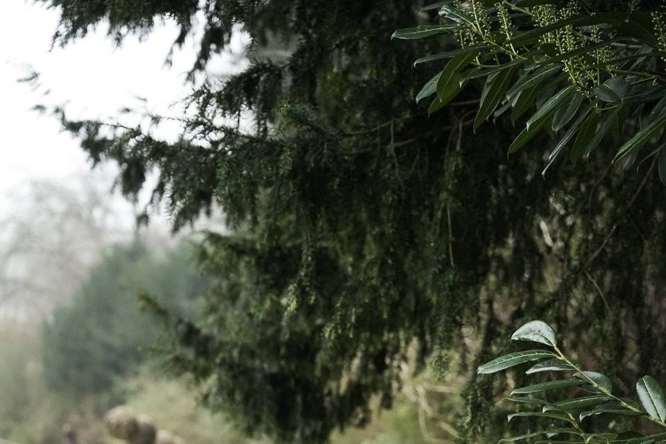 Kaushik&Subhashini engagement