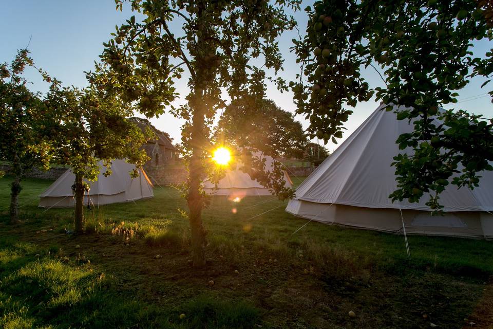 Bell tents in the sunshine