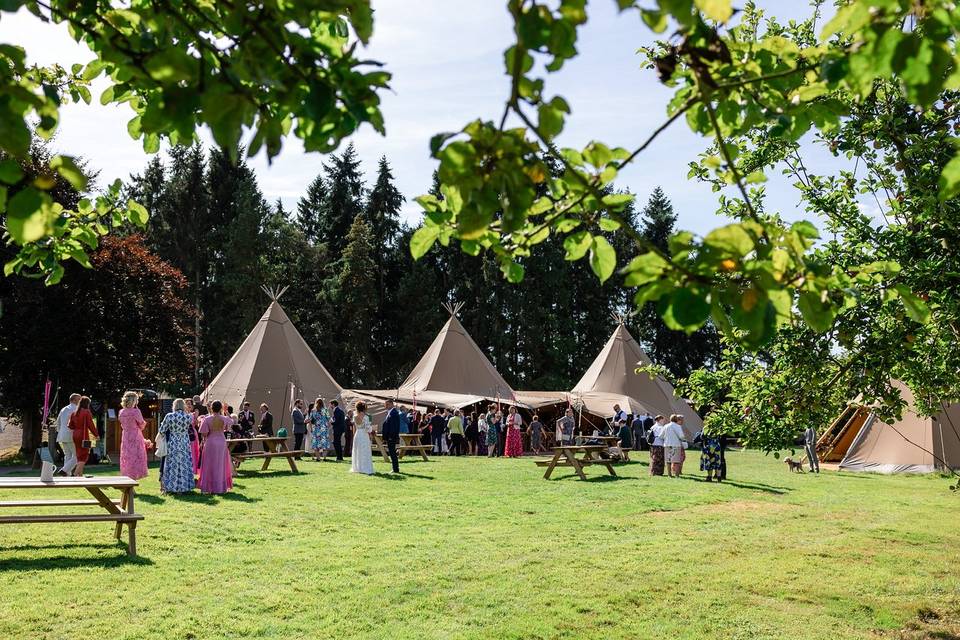 Tipi in orchard