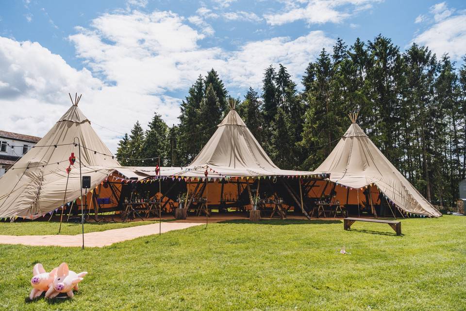 3 hat tipi