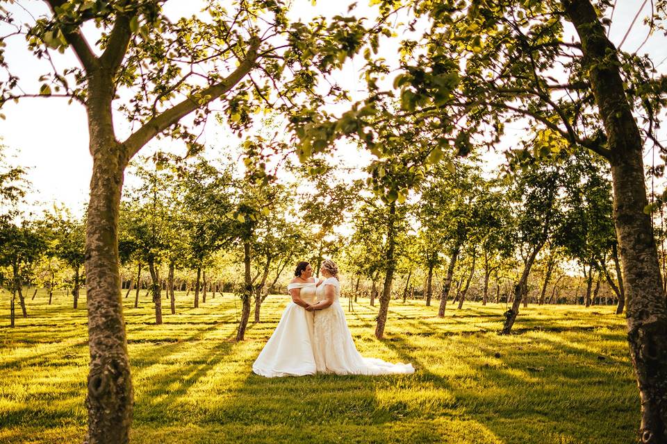 Orchard wedding