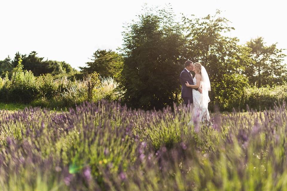 Bride and groom in lavender