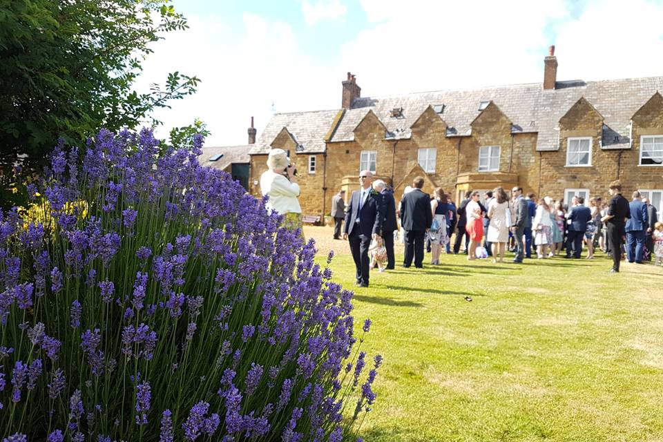 The walled garden