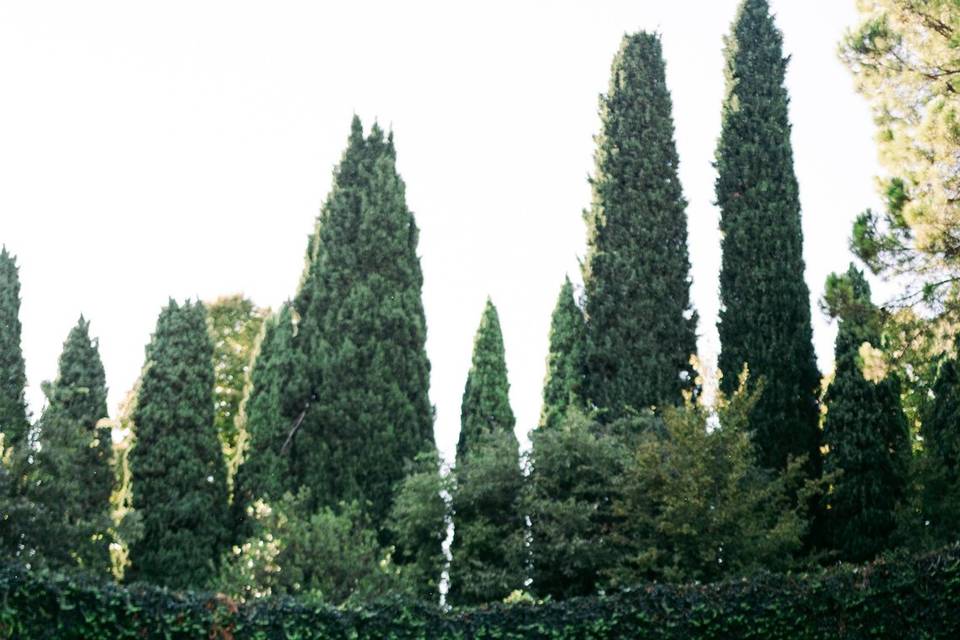 Verona