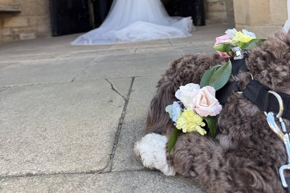 Bride ralph