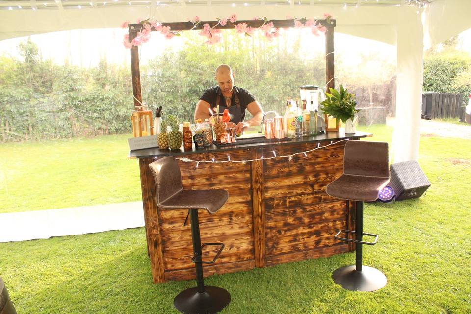 Portable bar